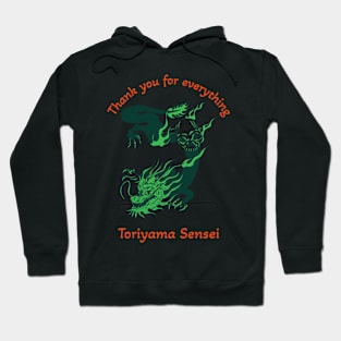 year of the dragon 2024 Hoodie